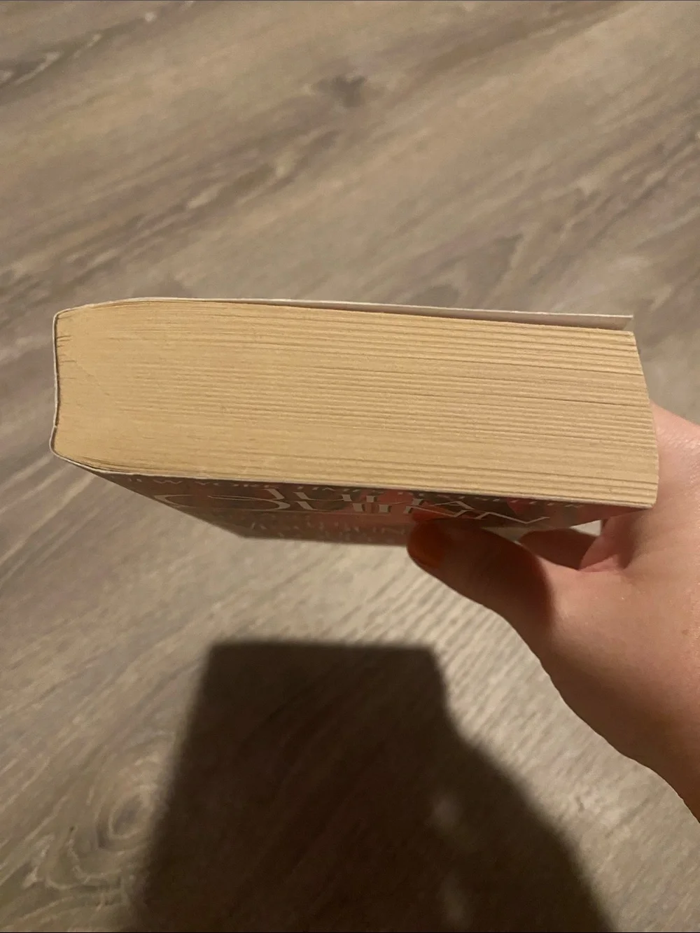 Bridgerton “The Viscount Who Loved Me” book 🫖